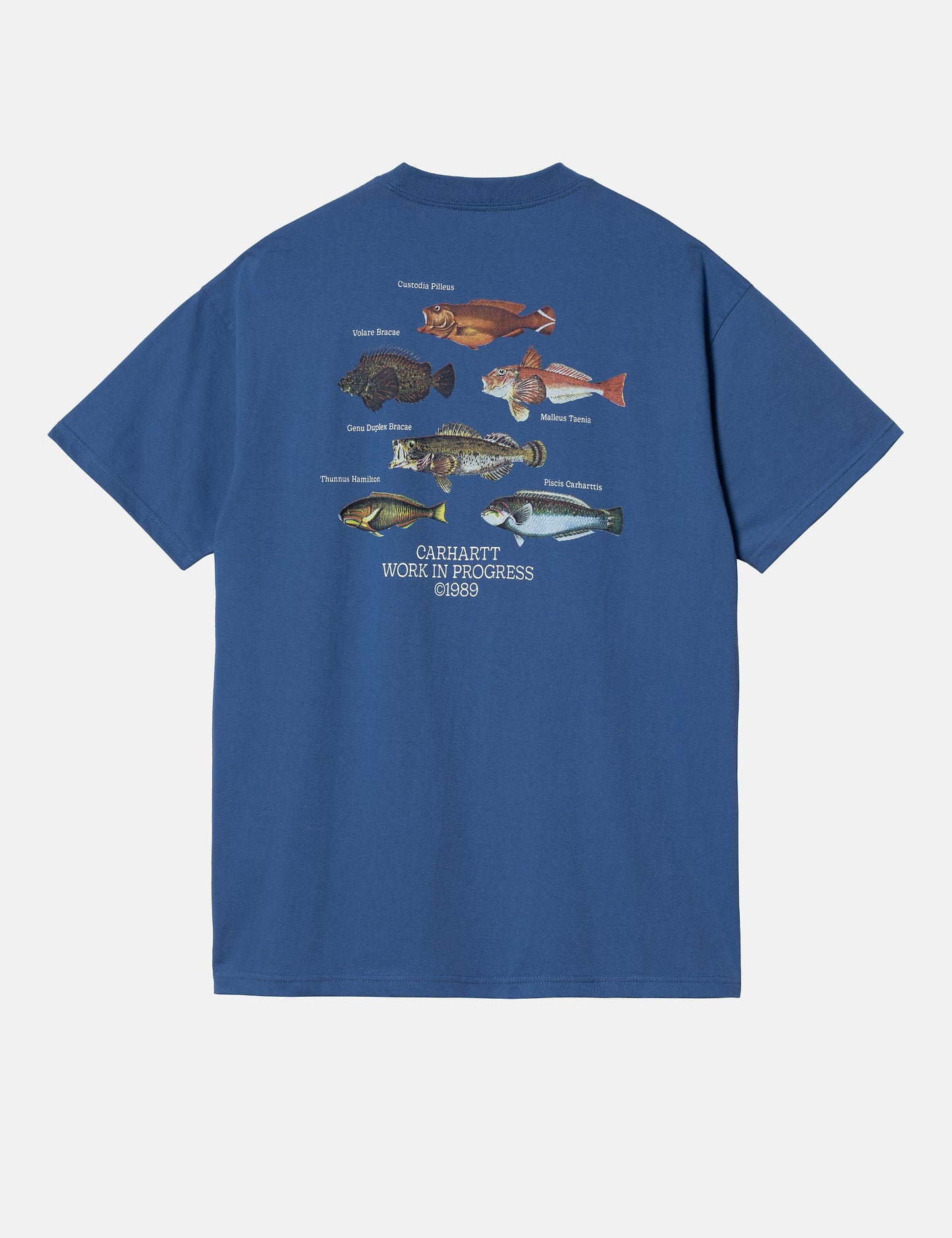T-shirt poisson (coupe ample) - bleu Acapulco