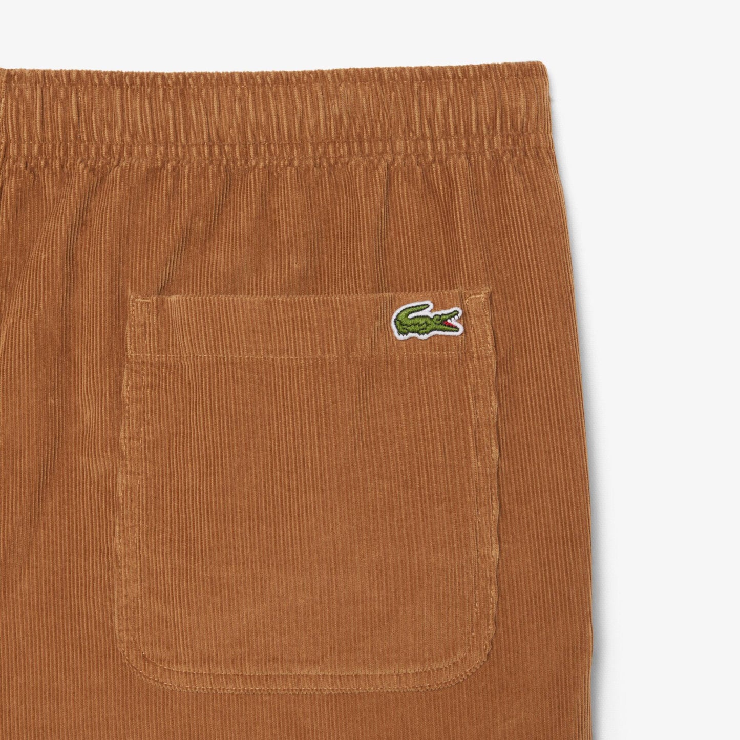 Regular Fit Corduroy Pants