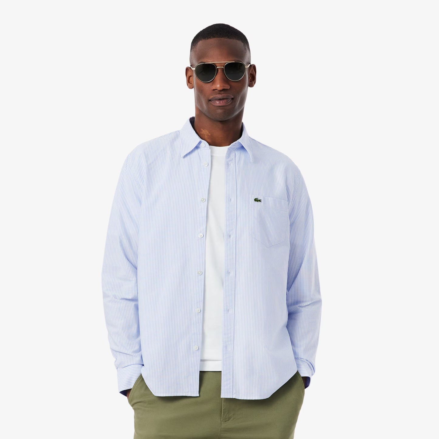 Regular Fit Striped Oxford Shirt 2