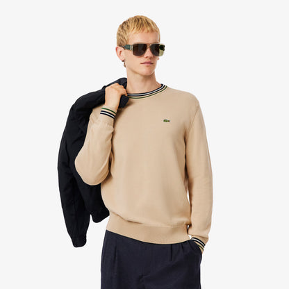 Striped Cotton Jersey Sweater