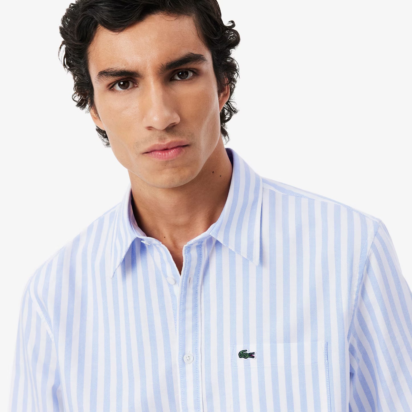 Regular Fit Striped Oxford Shirt
